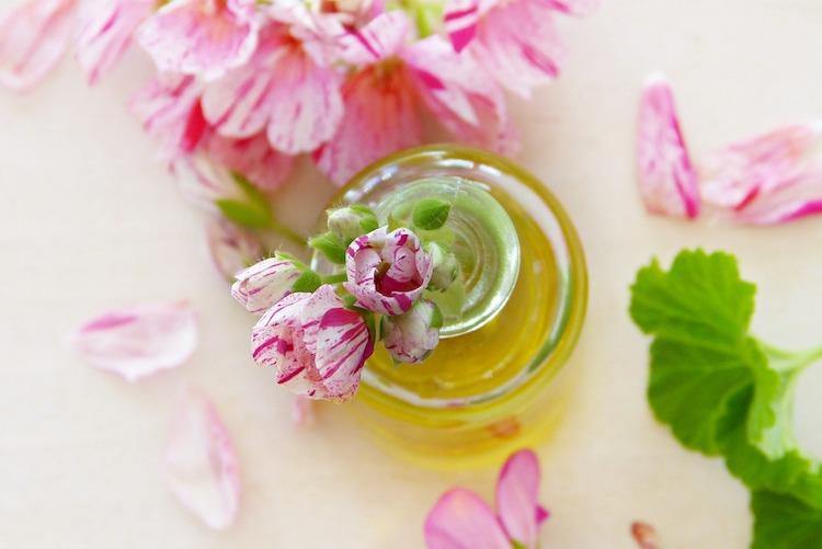 Geranium, Egyptian Essential Oil - Little Urban Apothecary