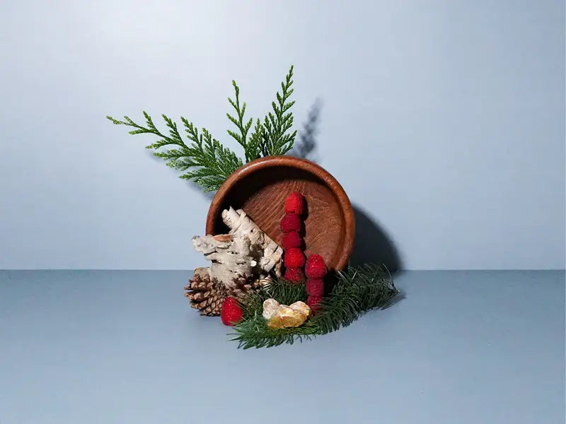 HOLIDAY INSPIRATIONS 2025