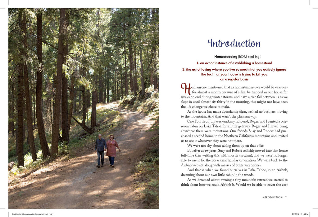 THE ACCIDENTIAL HOMESTEADER -Finding Joy, Grace & Growth at Home