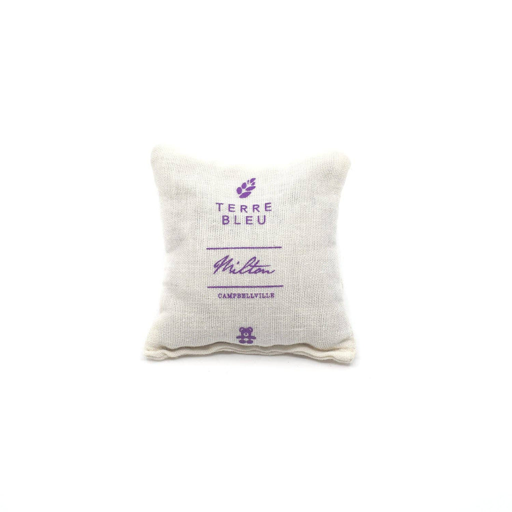 MILLY THE LAVENDER PLUSH TEDDY  – Calming Companion