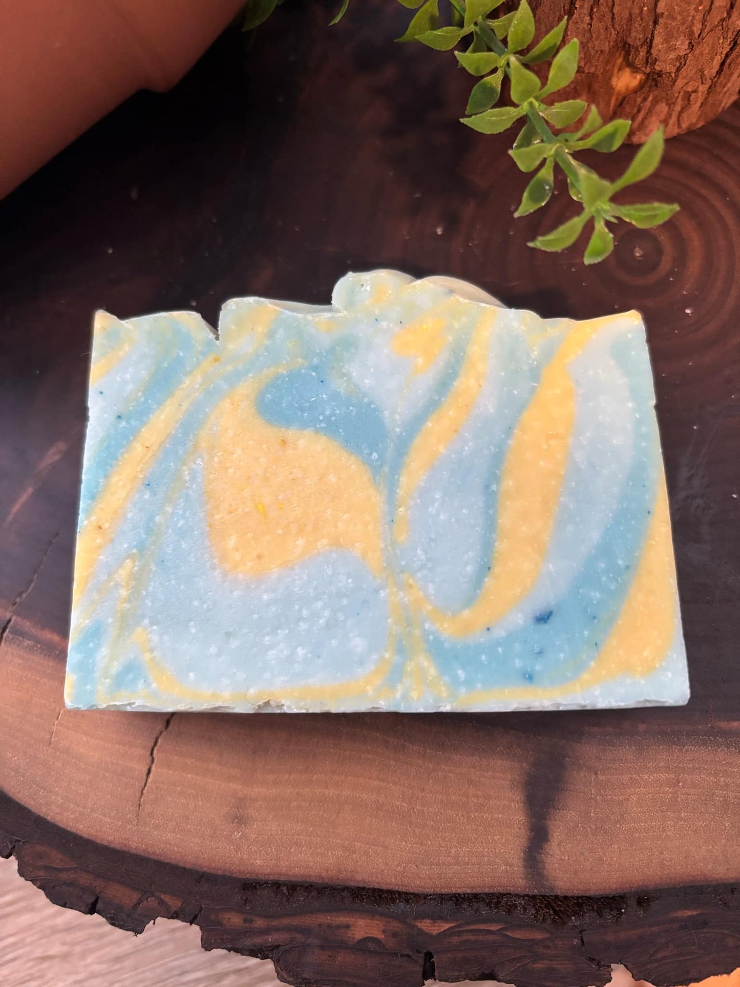 "NEW" BAR SOAP - CITRUS TIDE