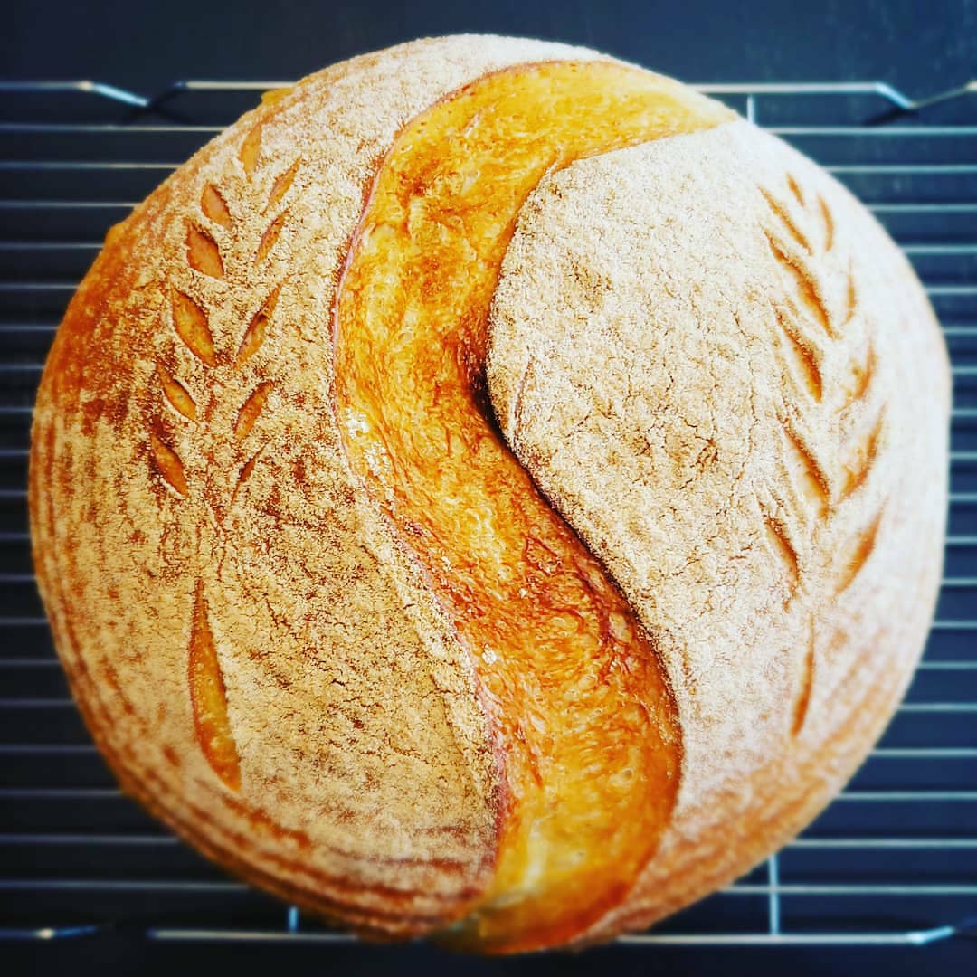 130-YEAR-OLDE CANADIAN HEIRLOOM Sourdough Starter