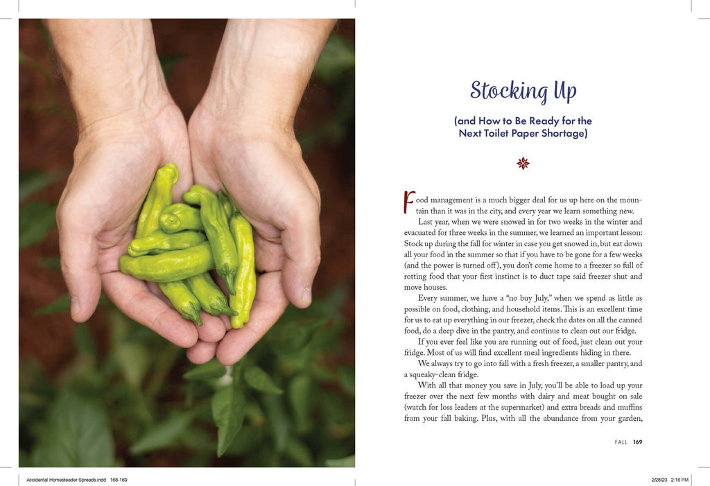 THE ACCIDENTIAL HOMESTEADER -Finding Joy, Grace & Growth at Home