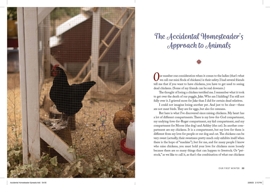 THE ACCIDENTIAL HOMESTEADER -Finding Joy, Grace & Growth at Home