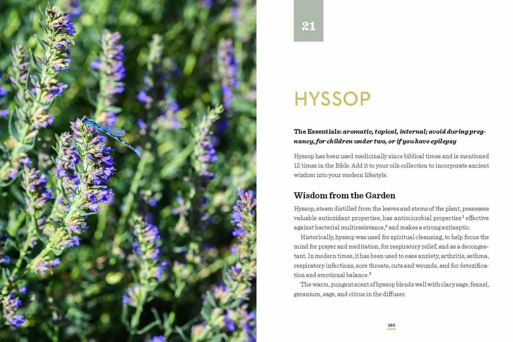 IT ALL BEGAN IN THE GARDEN - A Practical Guide to Essential Oils - Hardcover