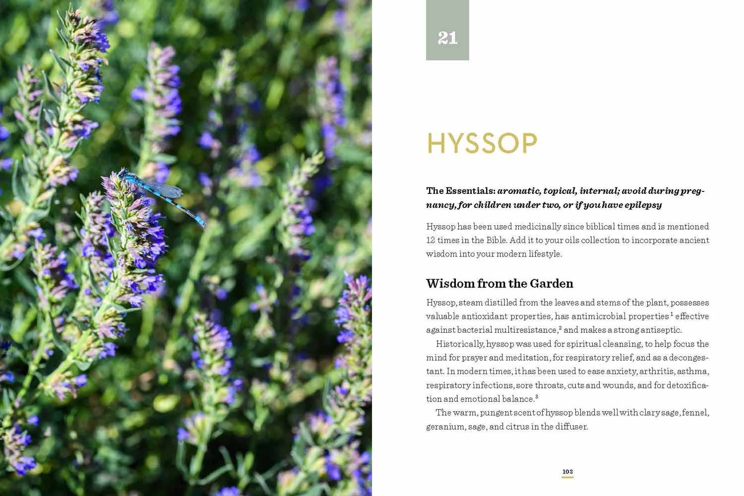 IT ALL BEGAN IN THE GARDEN - A Practical Guide to Essential Oils - Hardcover