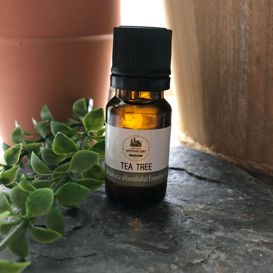 ESSENTIAL OIL - TEA TREE